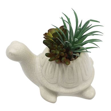 Sonoma Goods For Life® Artificial Air Plant In Taupe Turtle Planter Table Decor