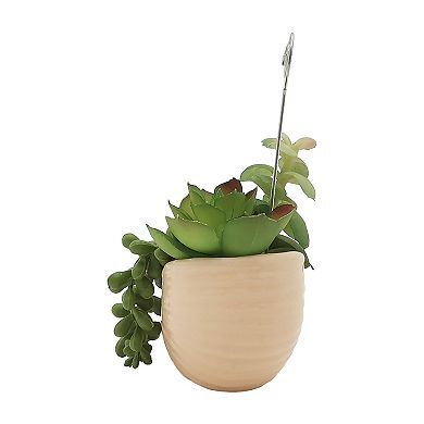 Sonoma Goods For Life® Shell Botanical Photo Clip