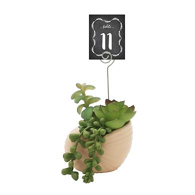 Sonoma Goods For Life® Shell Botanical Photo Clip