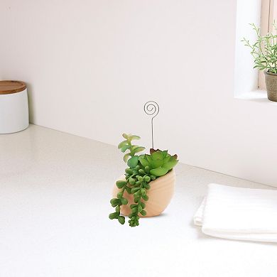 Sonoma Goods For Life® Shell Botanical Photo Clip