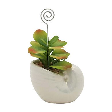 Sonoma Goods For Life® Shell Botanical Photo Clip