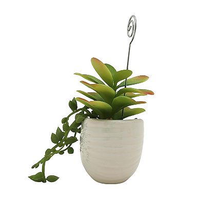 Sonoma Goods For Life® Shell Botanical Photo Clip