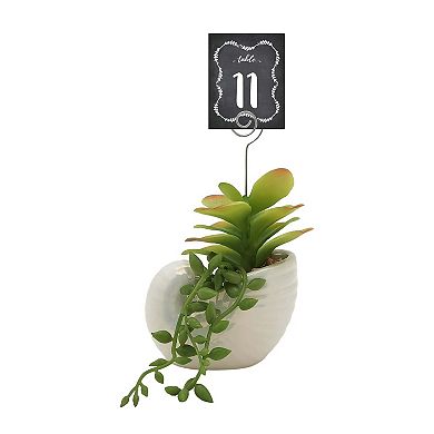 Sonoma Goods For Life® Shell Botanical Photo Clip
