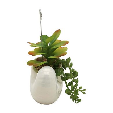 Sonoma Goods For Life® Shell Botanical Photo Clip