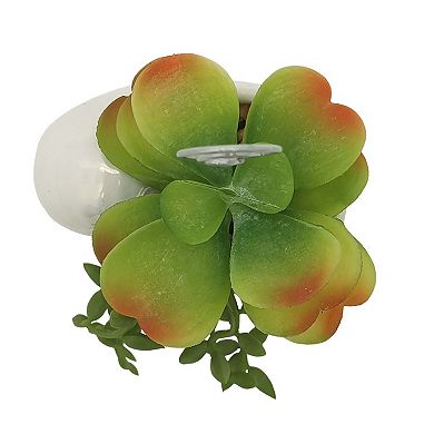 Sonoma Goods For Life® Shell Botanical Photo Clip