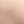 Rose Tone
