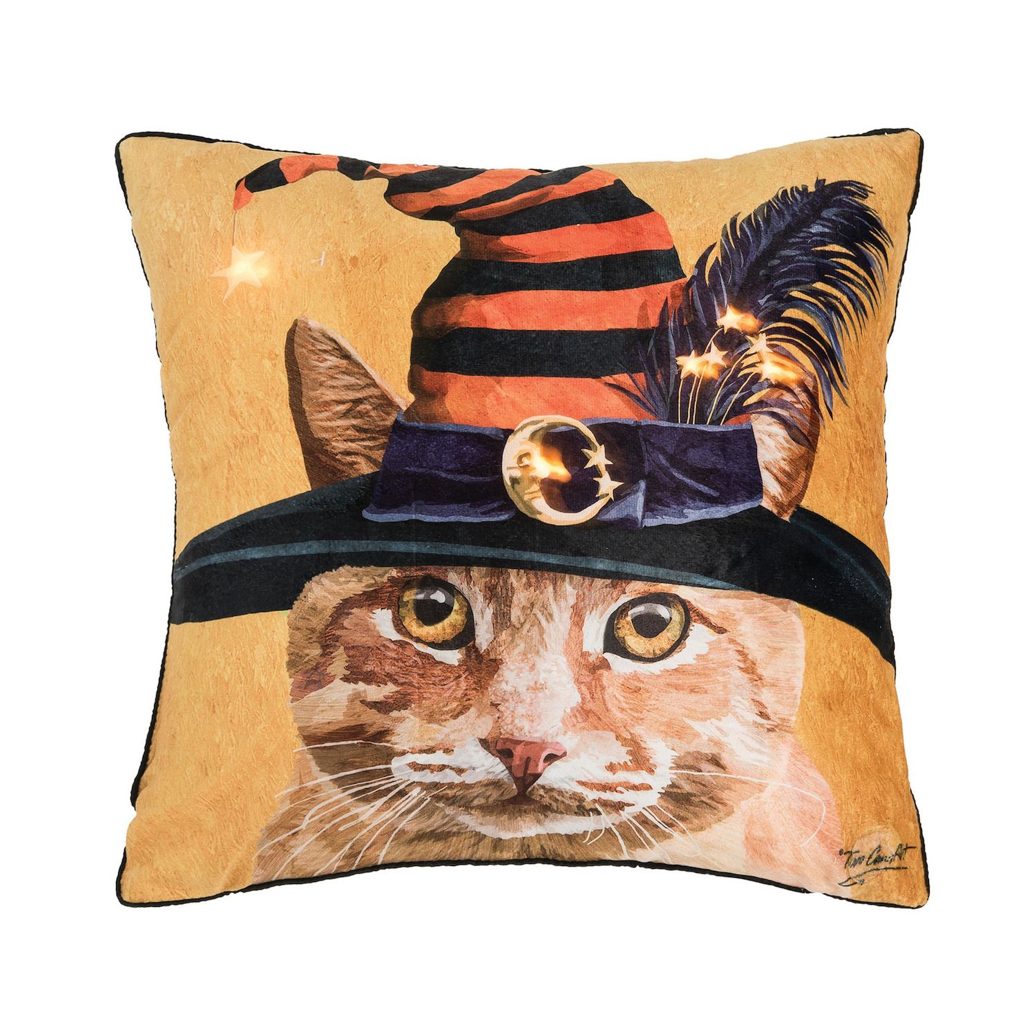 Big Cata Decorative Pillow