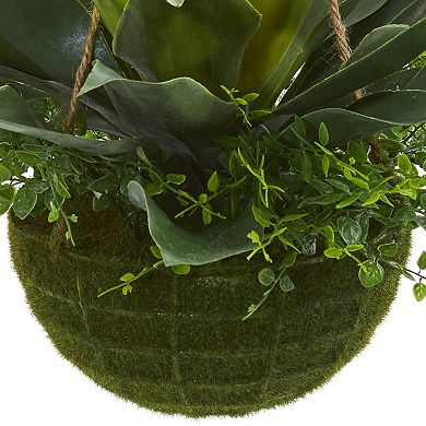 nearly natural Agave & Maiden Hair Artificial Plant in Hanging Basket