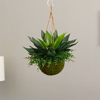 nearly natural Agave & Maiden Hair Artificial Plant in Hanging Basket