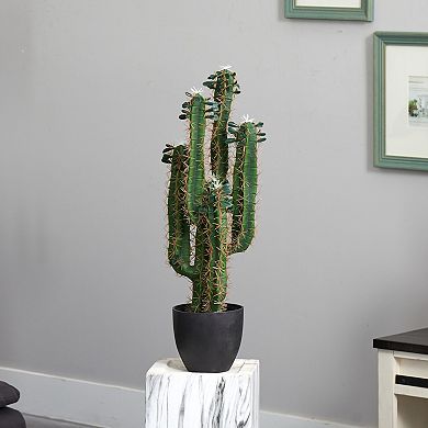 nearly natural 2.5-ft. Cactus Artificial Plant
