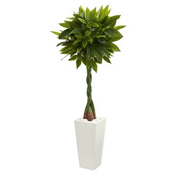 nearly natural 5.5-ft. Real Touch Money Artificial Tree in White Tower Planter