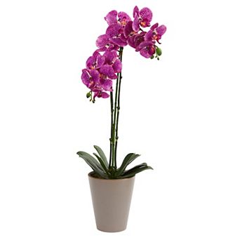 nearly natural 24 in Speckled Phalaenopsis Orchid Artificial Arrangement
