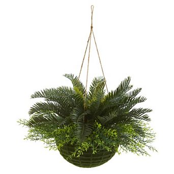 nearly natural Cycas Artificial Plant in Mossy Hanging Basket