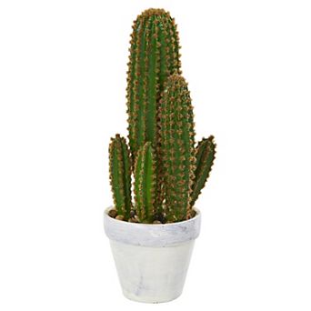 nearly natural 1.5-ft. Cactus Succulent Artificial Plant