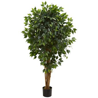 nearly natural 5.5-ft. Ficus Artificial Tree