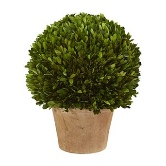 nearly natural 15 in Boxwood Ball Preserved Plant in Planter