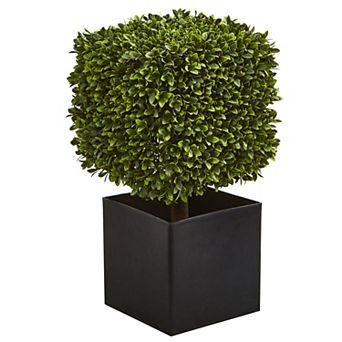 nearly natural 27 in Boxwood Artificial Plant in Black Planter