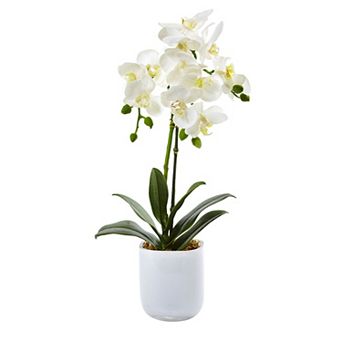 nearly natural Phalaenopsis in Frosted Glass Vase