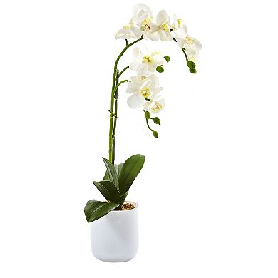 nearly natural Phalaenopsis in Frosted Glass