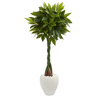 nearly natural 5-ft. Real Touch Money Artificial Tree in White Oval Planter