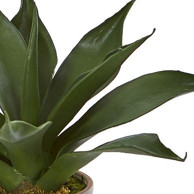 nearly natural 14-in. Agave Succulent in Decorative Planter