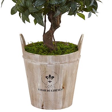 nearly natural 4.5-ft. Sweet Bay Double Topiary Artificial Tree in Farmhouse Planter