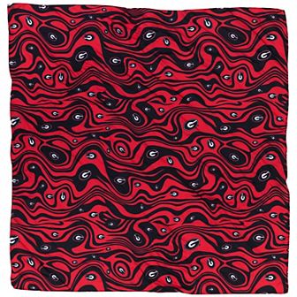 ZooZatz Georgia Bulldogs Hair Scarf