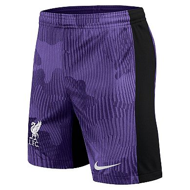 Youth Nike Purple Liverpool 2023/24 Third Stadium Performance Shorts