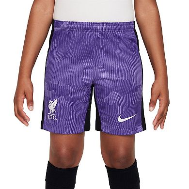 Youth Nike Purple Liverpool 2023/24 Third Stadium Performance Shorts