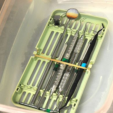 Advantage Rubber Bands Large Size #19 (3-1/2 X 1/16") Heavy Duty