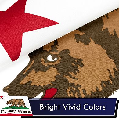 G128 California 100D 3x5 Ft Printed Polyester Flag