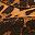 Leopard Multi