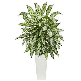 nearly natural Silver Queen Artificial Plant in White Tower Planter