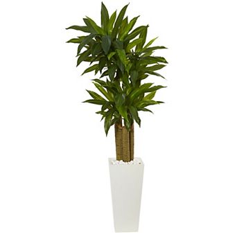 nearly natural 5-ft. Cornstalk Dracaena Artificial Plant in White Tower Planter