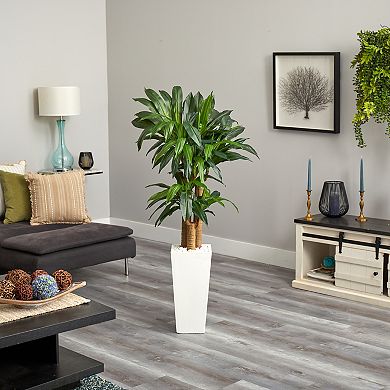 nearly natural 5-ft. Cornstalk Dracaena Artificial Plant in White Tower Planter