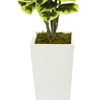 nearly natural Variegated Rubber Leaf Artificial Plant in White Tower Vase