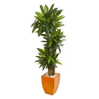 nearly natural 5.5-ft. Real Touch Dracaena Plant in Orange Square Planter