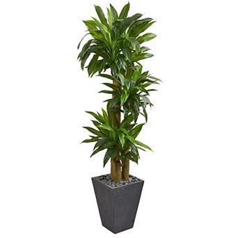 nearly natural 5.5-ft. Real Touch Cornstalk Dracaena Artificial Plant in Slate Planter