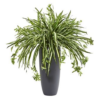 nearly natural 33 in Spider Artificial Plant in Cylinder Planter