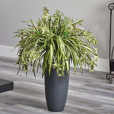 nearly natural 33-in. Spider Artificial Plant in Cylinder Planter