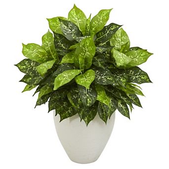nearly natural Dieffenbachia Artificial Plant in White Planter