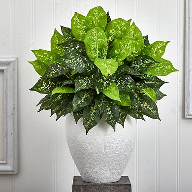nearly natural Dieffenbachia Artificial Plant in White Planter