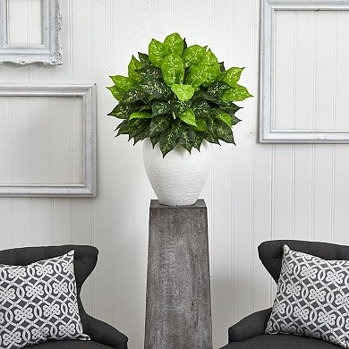 nearly natural Dieffenbachia Artificial Plant in White Planter