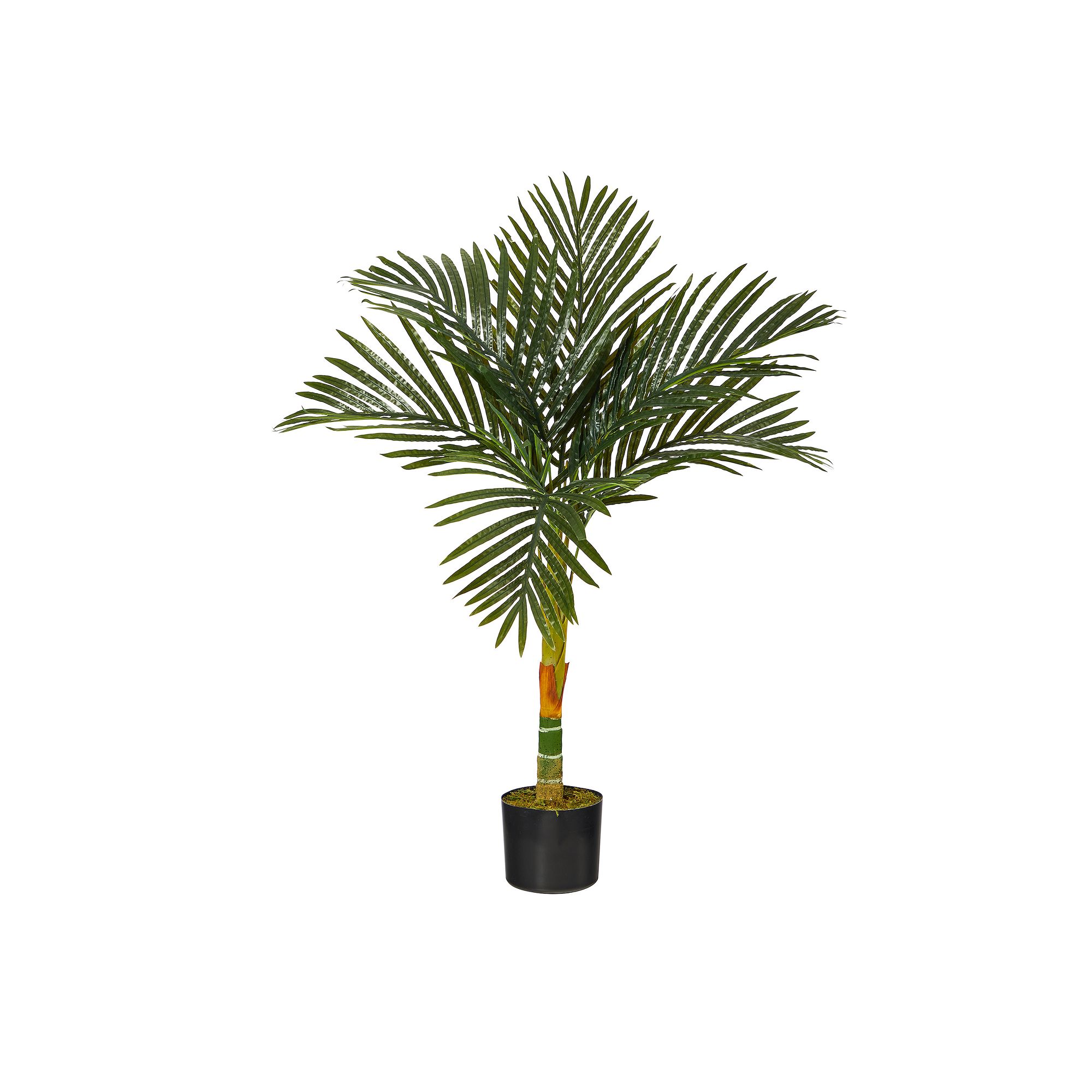 nearly natural 3-ft. Golden Cane Artificial Palm Tree, Green
