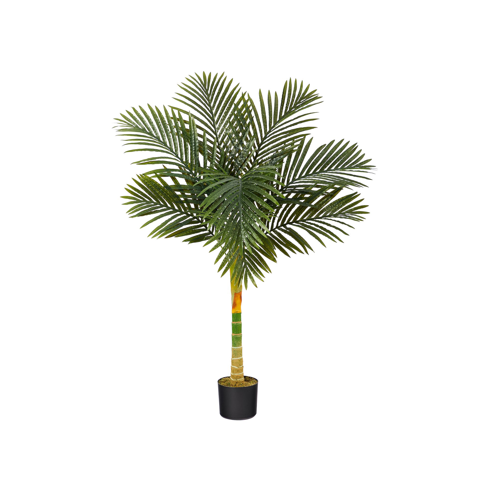 nearly natural 4-ft. Golden Cane Artificial Palm Tree, Green