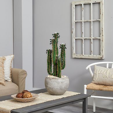 nearly natural 2.5-ft. Cactus Artificial Plant in Bowl Planter