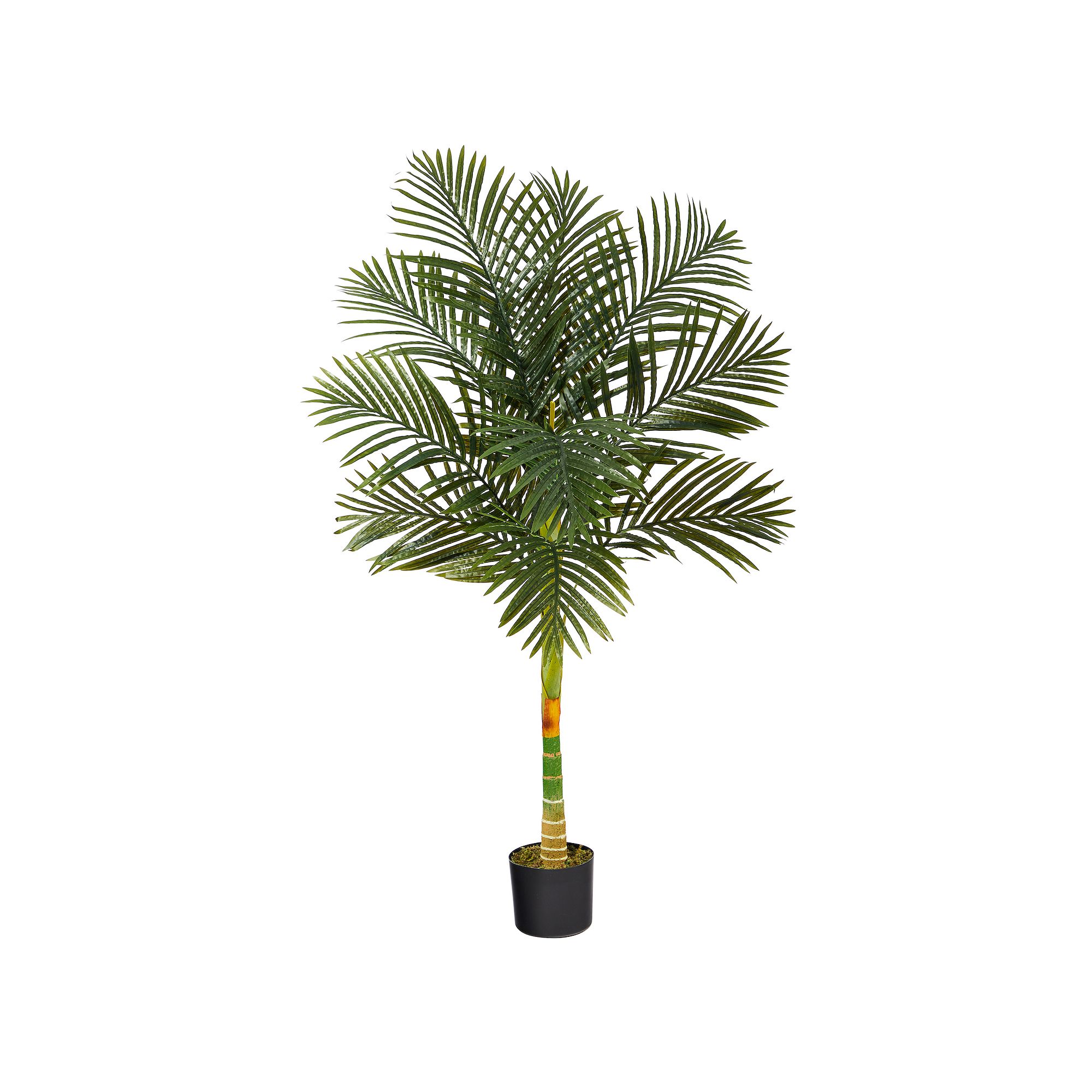 nearly natural 5-ft. Golden Cane Artificial Palm Tree, Green