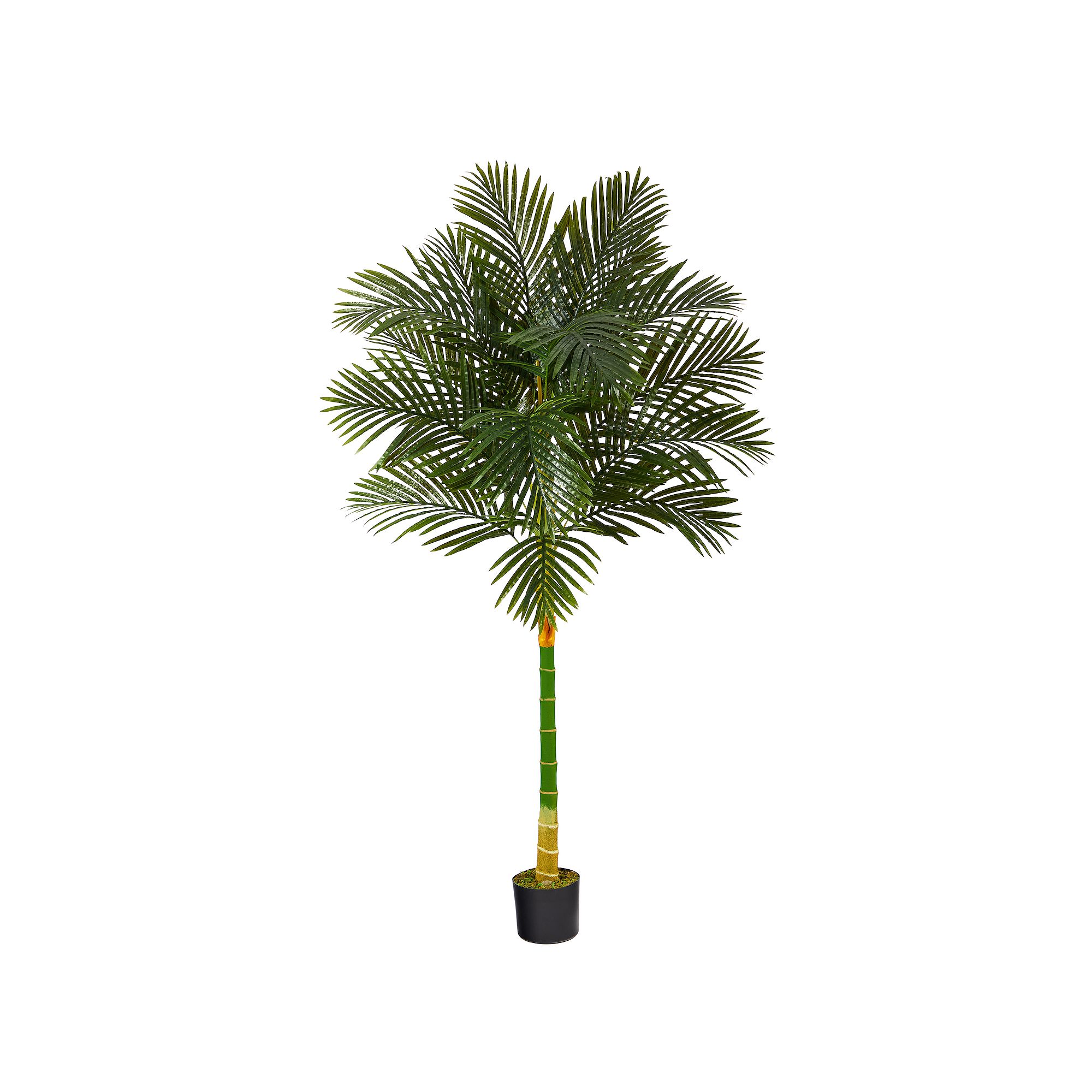 nearly natural 6-ft. Single Stem Golden Cane Artificial Palm Tree, Green