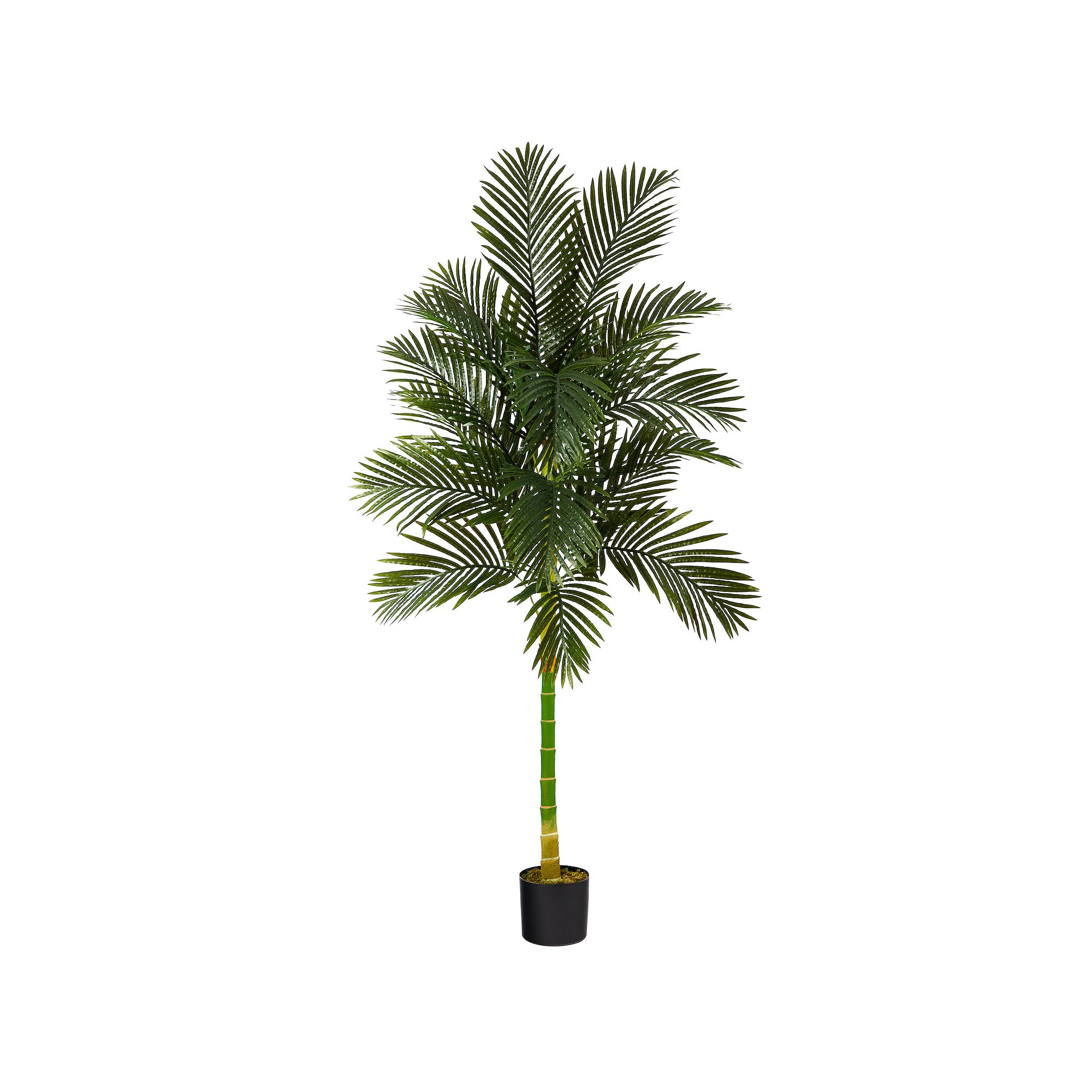 nearly natural 7-ft. Golden Cane Artificial Palm Tree, Green