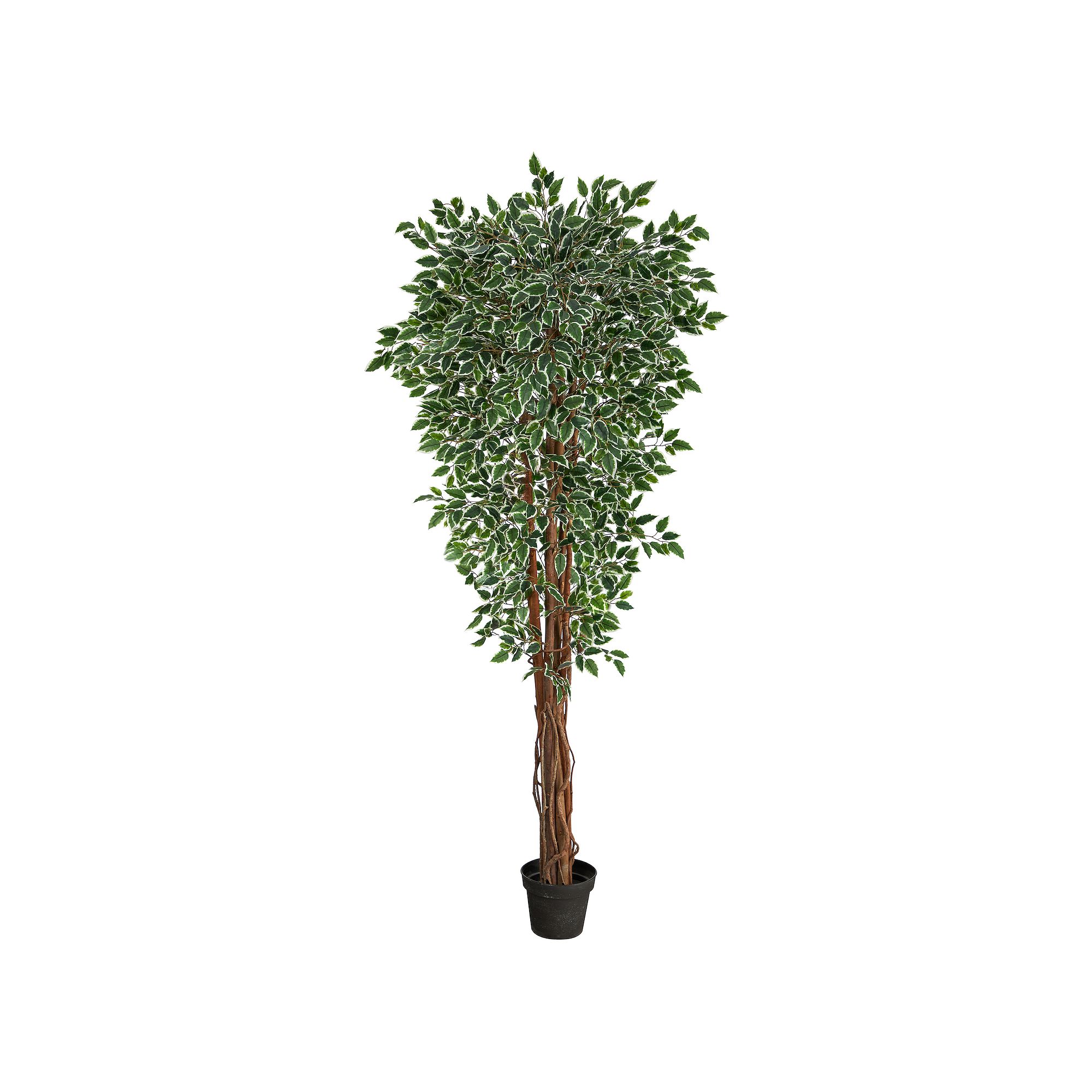 nearly natural 5-ft. UV Resistant Variegated Ficus Artificial Tree, Green